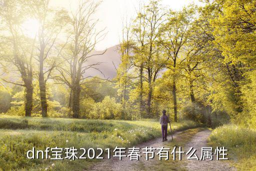 dnf宝珠2021年春节有什么属性