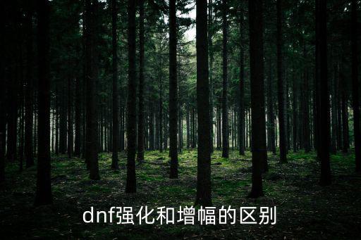 dnf强化和增幅的区别