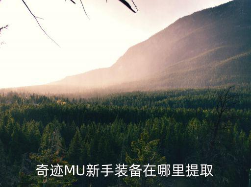 如何查mu游戏装备，奇迹怎么在游戏里查询装备需要的力量