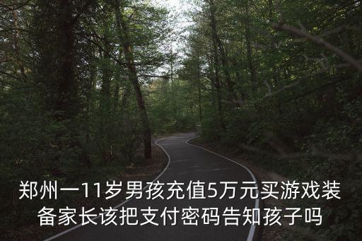 郑州一11岁男孩充值5万元买游戏装备家长该把支付密码告知孩子吗