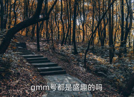 gmm号都是盛趣的吗