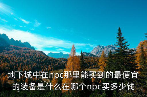 地下城中在npc那里能买到的最便宜的装备是什么在哪个npc买多少钱