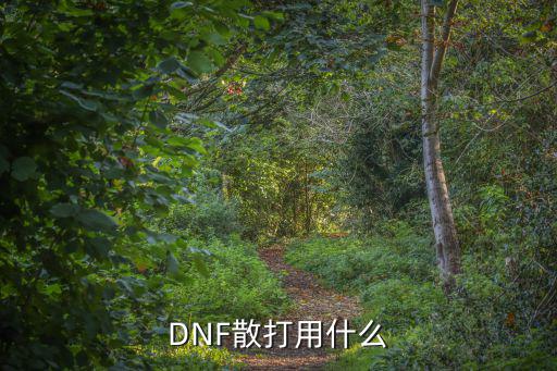 DNF散打用什么