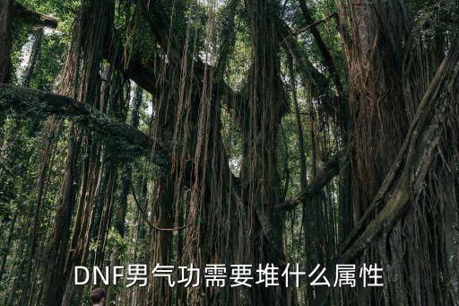 DNF男气功需要堆什么属性