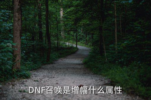 dnf召唤增幅什么属性，DNF召唤堆什么属性堆智力还是精神