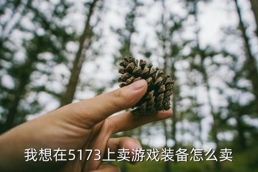 我想在5173上卖游戏装备怎么卖