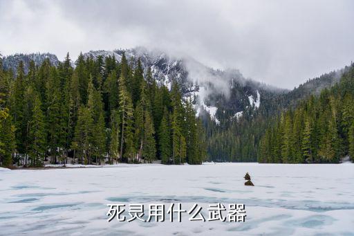 死灵用什么武器