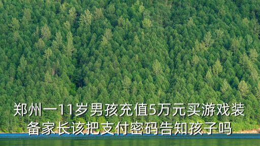 郑州一11岁男孩充值5万元买游戏装备家长该把支付密码告知孩子吗