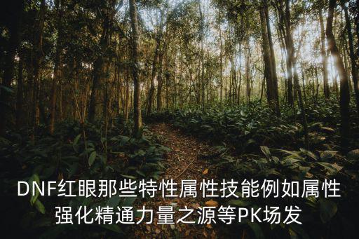 DNF红眼那些特性属性技能例如属性强化精通力量之源等PK场发