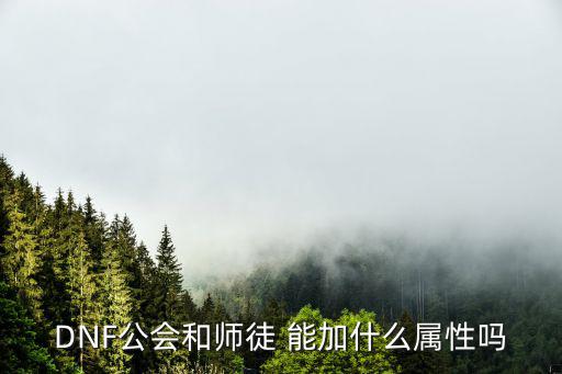 DNF公会和师徒 能加什么属性吗