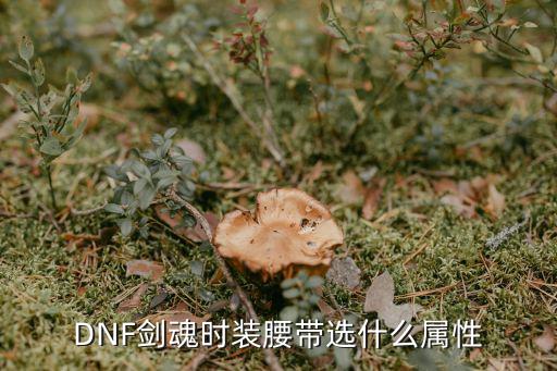 dnf腰带增幅什么属性，DNF剑魂时装腰带选什么属性