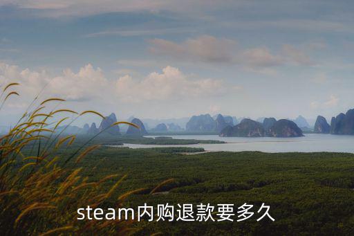 steam内购退款要多久