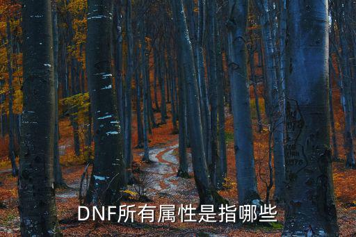 DNF所有属性是指哪些