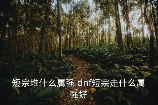 dnf短宗什么属性，短宗堆什么属强 dnf短宗走什么属强好