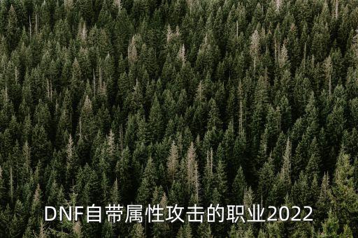 DNF自带属性攻击的职业2022