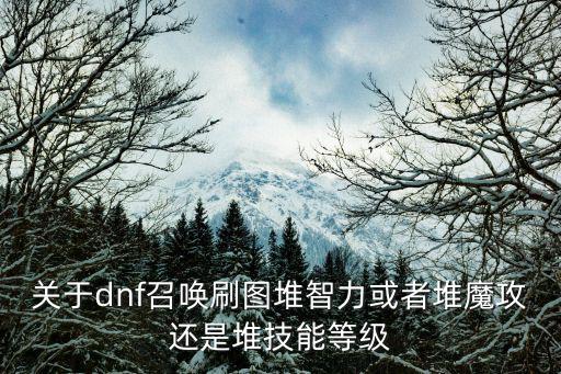 dnf召唤堆什么属性强化，请问召唤属性加哪个好呢