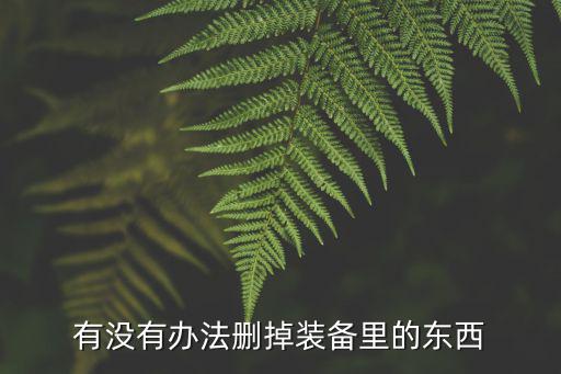 有没有办法删掉装备里的东西