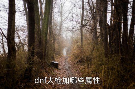 dnf大枪是什么属性，DNF里的枪炮师应加什么属性