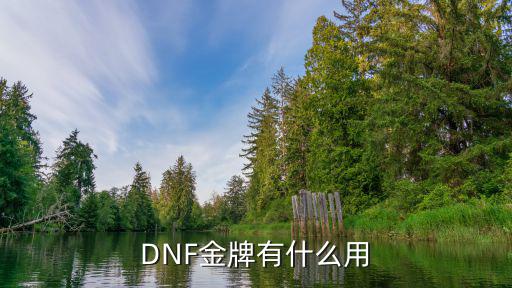 DNF金牌有什么用