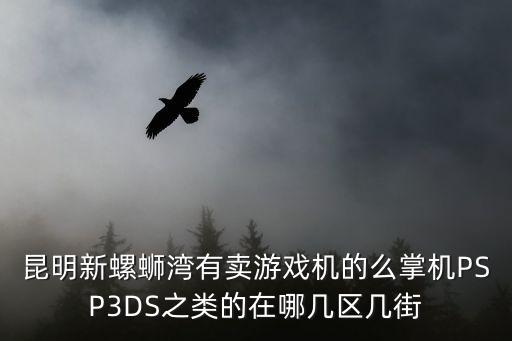 昆明卖游戏装备的地方在哪里，昆明新螺蛳湾有卖游戏机的么掌机PSP3DS之类的在哪几区几街