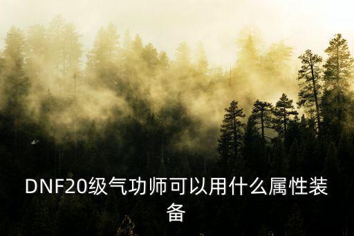 DNF20级气功师可以用什么属性装备