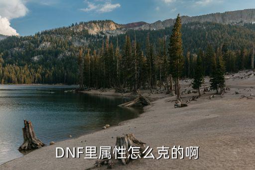 DNF里属性怎么克的啊