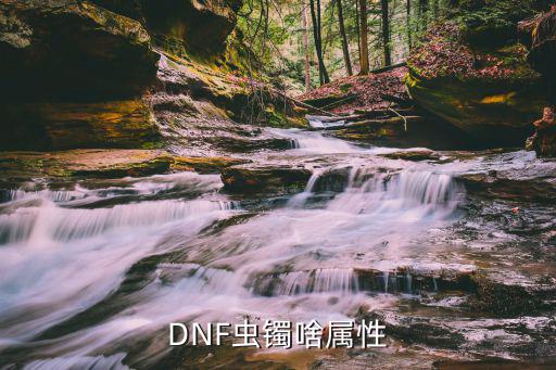 DNF虫镯啥属性