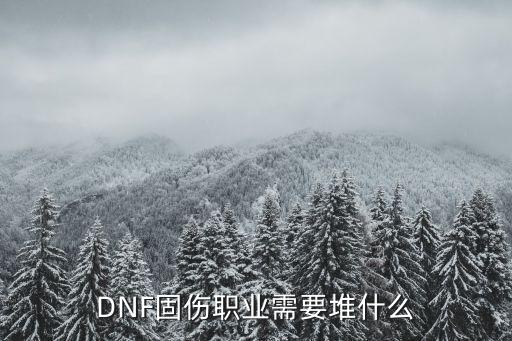 DNF固伤职业需要堆什么