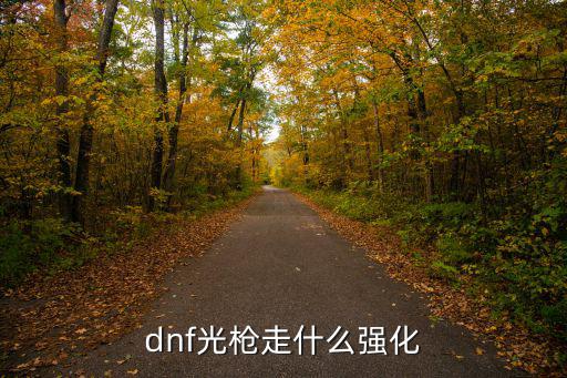 dnf光枪走什么强化