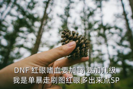 DNF 红眼嗜血要加吗 要加几级 我是单暴走刷图红眼多出来点SP