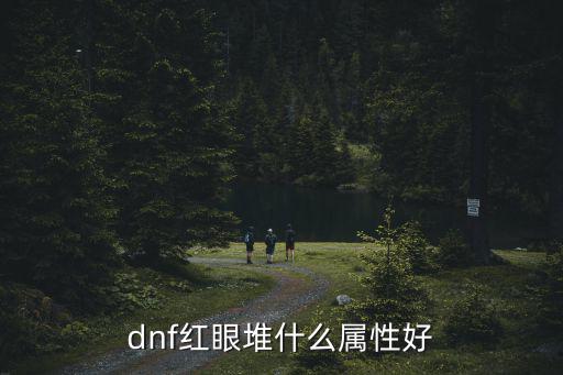 dnf红眼堆什么属性好