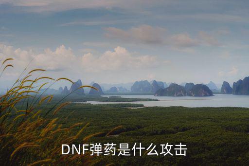 dnf弹药什么属性攻击，DNF弹药是什么攻击