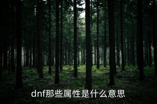 dnf那些属性是什么意思