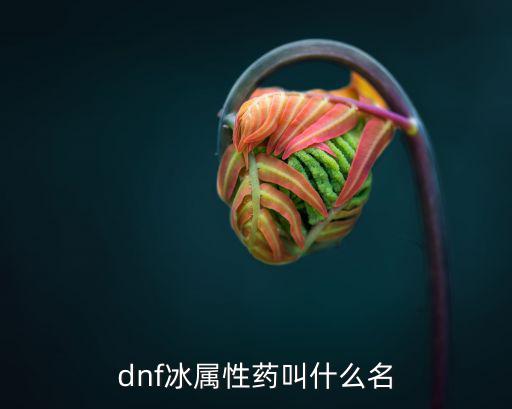 dnf冰属性药叫什么名