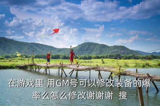 在游戏里 用GM号可以修改装备的爆率么怎么修改谢谢谢  搜