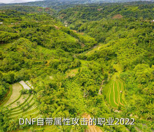 DNF自带属性攻击的职业2022