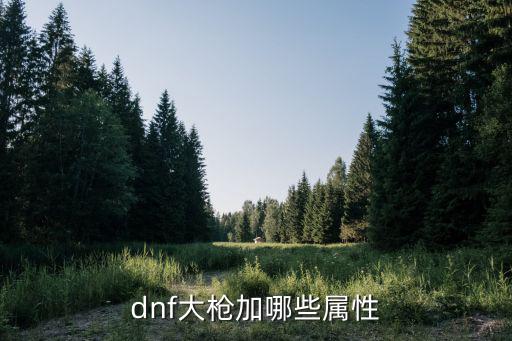 dnf大枪加哪些属性