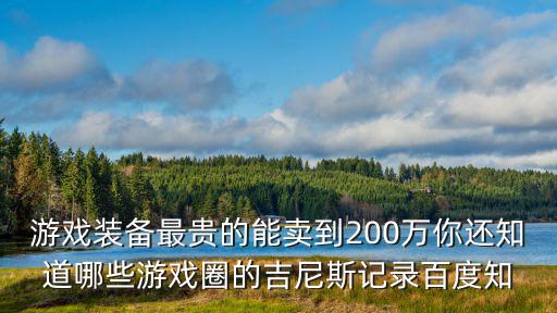 游戏装备最贵的能卖到200万你还知道哪些游戏圈的吉尼斯记录百度知