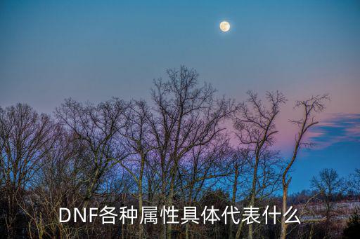 DNF各种属性具体代表什么