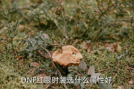 DNF红眼时装选什么属性好