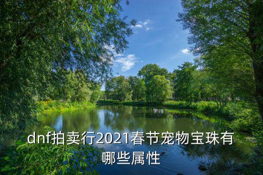 dnf拍卖行2021春节宠物宝珠有哪些属性