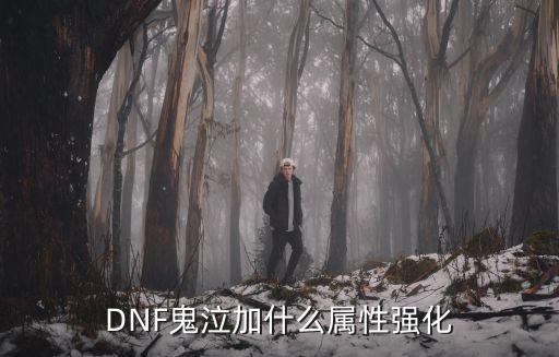 DNF鬼泣加什么属性强化