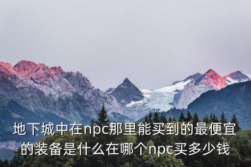 地下城中在npc那里能买到的最便宜的装备是什么在哪个npc买多少钱