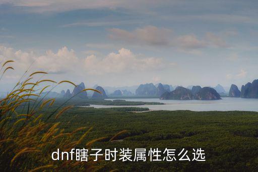 dnf瞎子时装属性怎么选