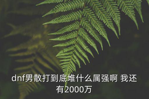 dnf男散打到底堆什么属强啊 我还有2000万