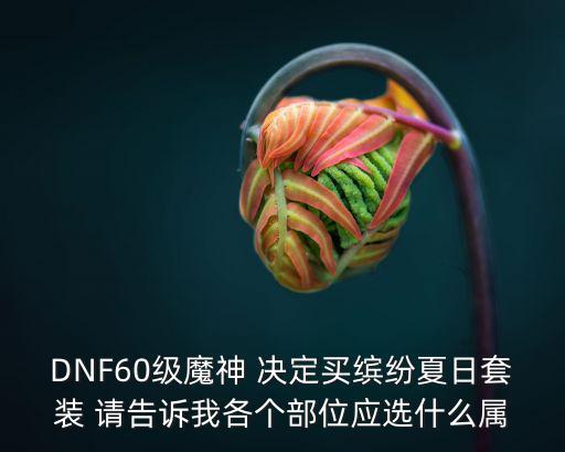 DNF60级魔神 决定买缤纷夏日套装 请告诉我各个部位应选什么属