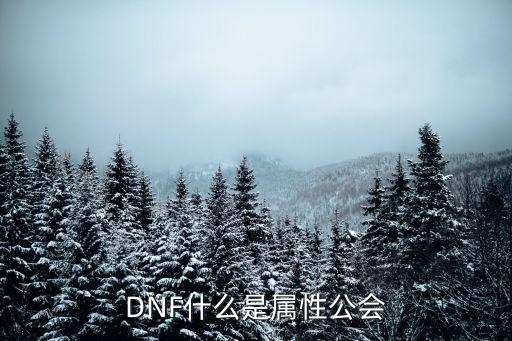 dnf公会都是什么属性，DNF什么是属性公会