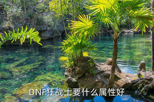 dnf狂战士属性看什么，dnf狂战带什么属性的好