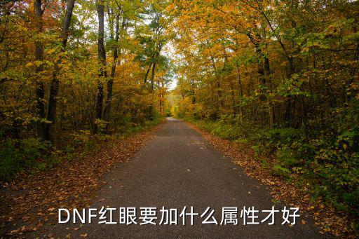 DNF红眼要加什么属性才好