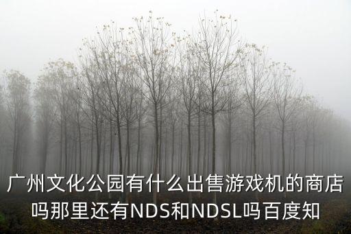 广州哪里有卖游戏装备的店，广州文化公园有什么出售游戏机的商店吗那里还有NDS和NDSL吗百度知